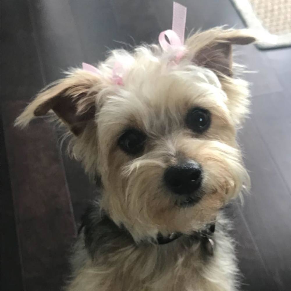 Meet your Posher, Tina